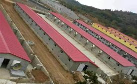 猪场消毒液相助案例 [918博天堂兽药]